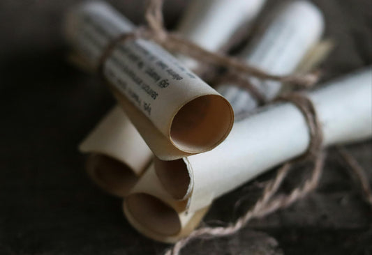 Scroll V of XII — The Lamp of Quiet Waters